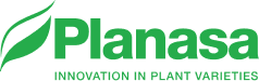 Logo Planasa
